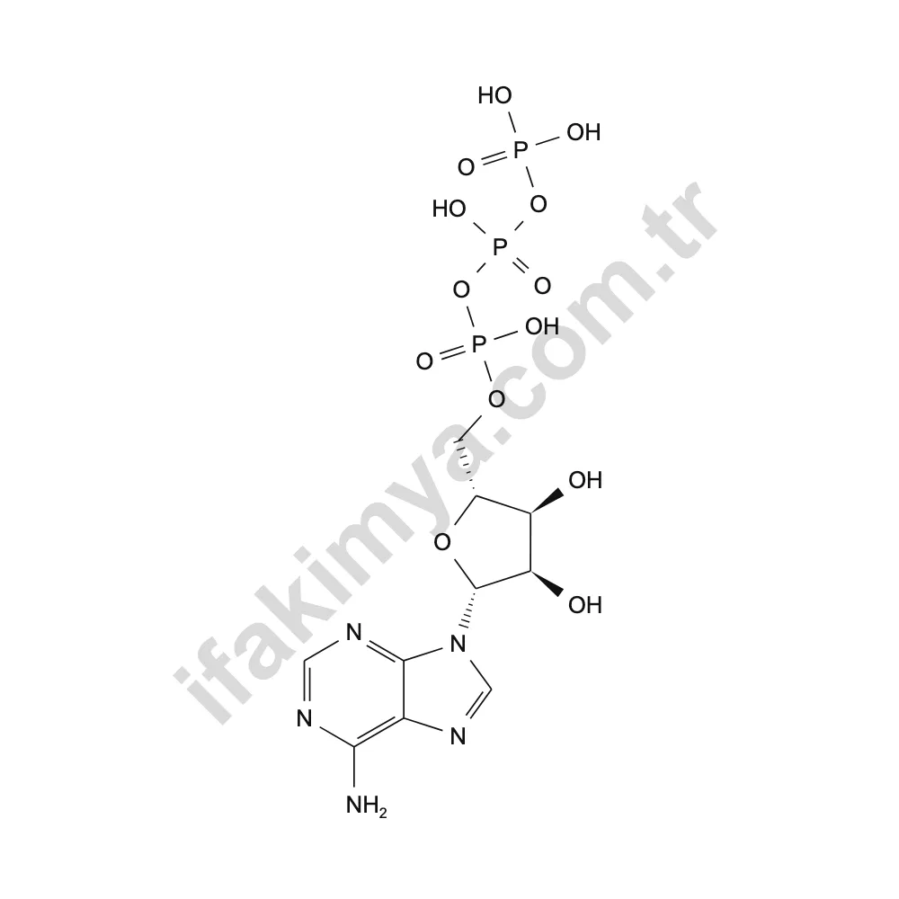 Adenozin Trifosfat (ATP) molekül yapısı