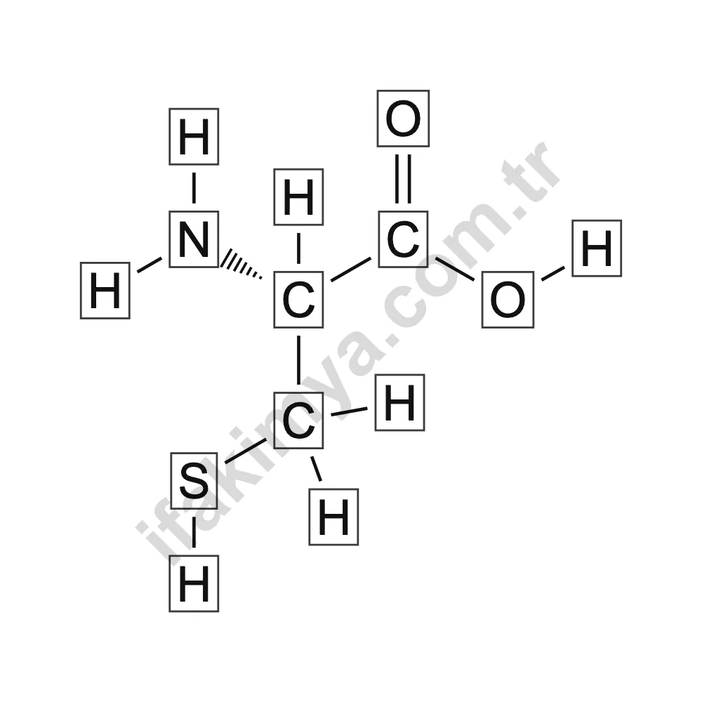 L-Cysteine (L-Sistein) molekül yapısı